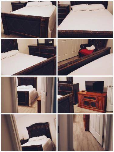 Orlando Bed & Breakfast | 19 m² Bed and breakfast ∙ 2 guests