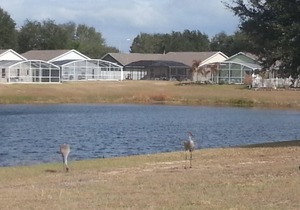 Lake view Home/Private Pool/Free WiFi near Disney World