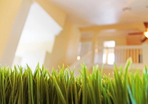 VENTURA COVE HOLIDAY HOME