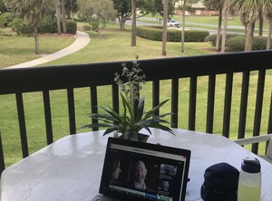 Orlandos Sunshine Orlando | Ventura