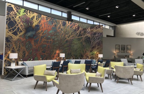 Airport North Hotel | Holiday Inn Orlando International Airport by IHG