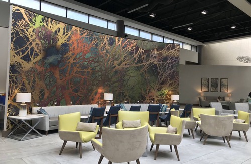 Airport North Hotel | Holiday Inn Orlando International Airport by IHG
