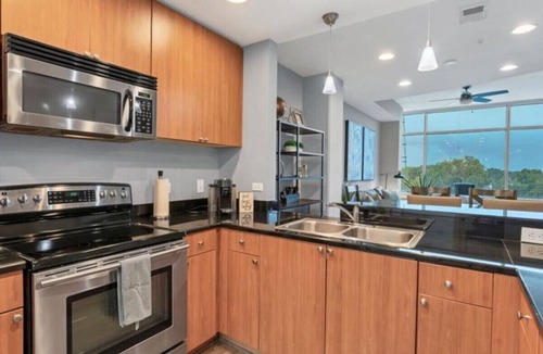 Downtown Orlando Apartment | Luxury 1260sq ft 2 Bd/2BTH in DT