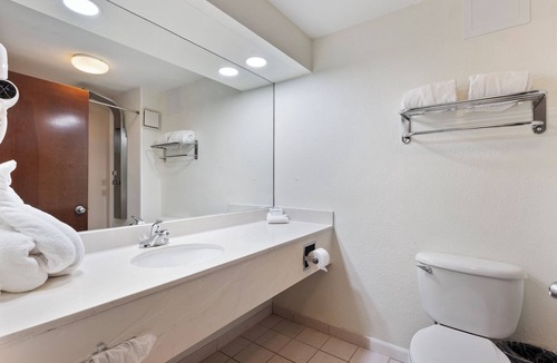 Orlando Hotel | Orlando Palms Hotel
