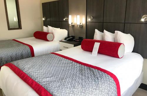 Airport North Hotel | Ramada by Wyndham Suites Orlando Airport- Free Airport Shuttle