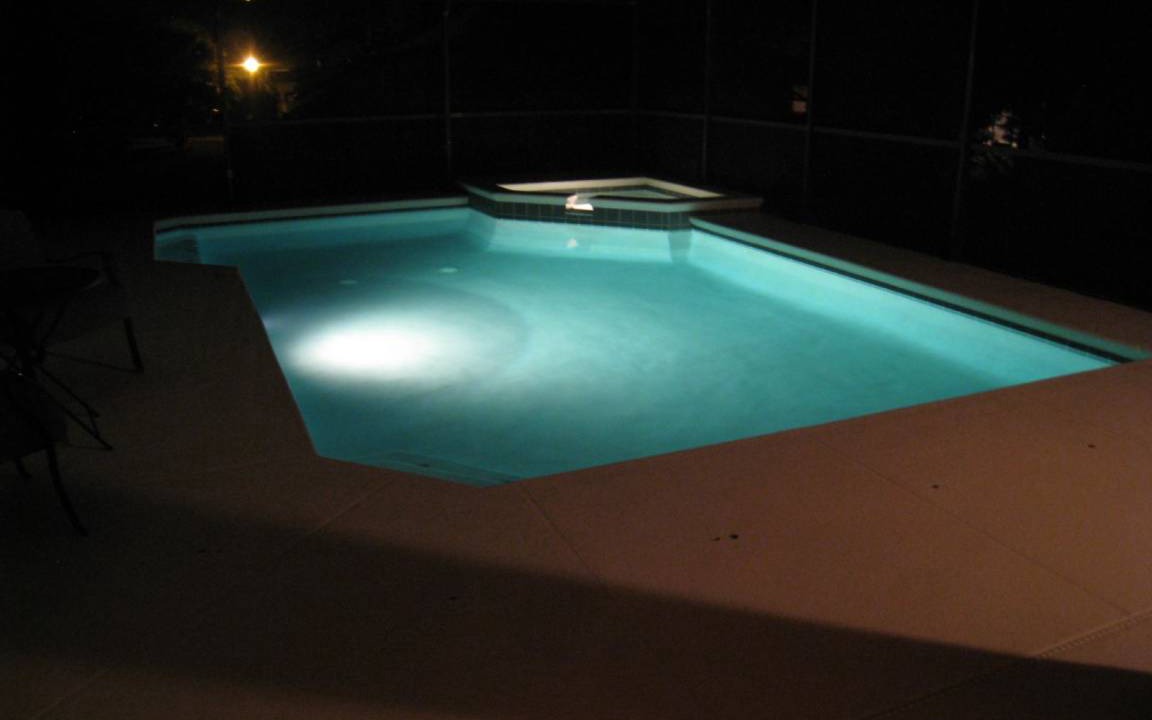 Photo of Others in Orange Tree