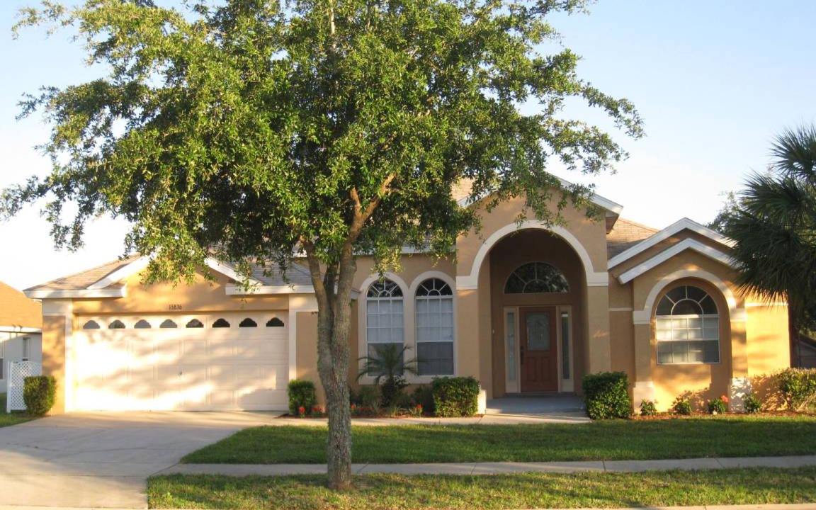 Photo of Others in Orange Tree