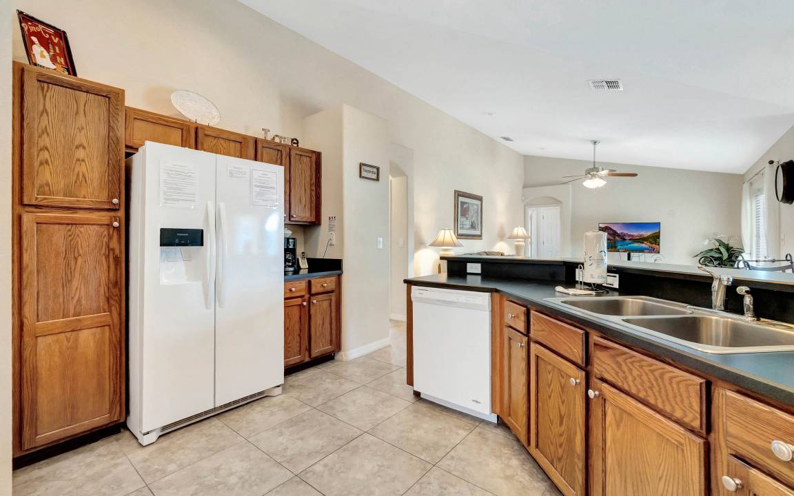 Photo of Others in Orange Tree