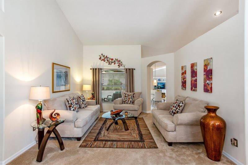 Photo of Others in Orange Tree