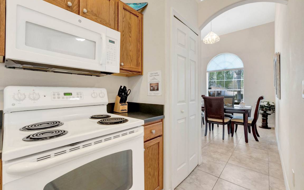 Photo of Others in Orange Tree