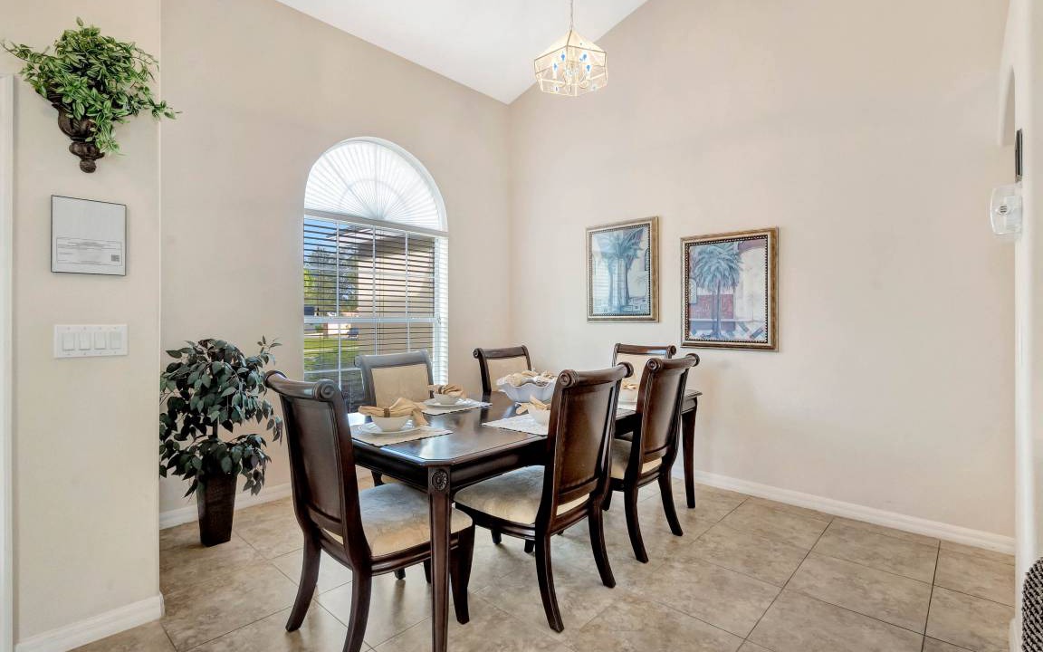 Photo of Others in Orange Tree