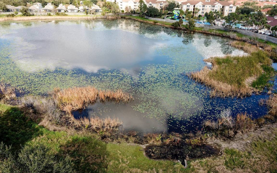 Photo of Others in Windsor Hills