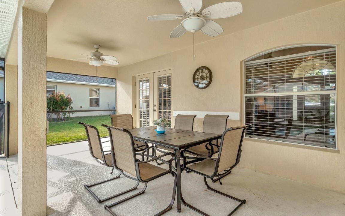 Photo of Others in Orange Tree