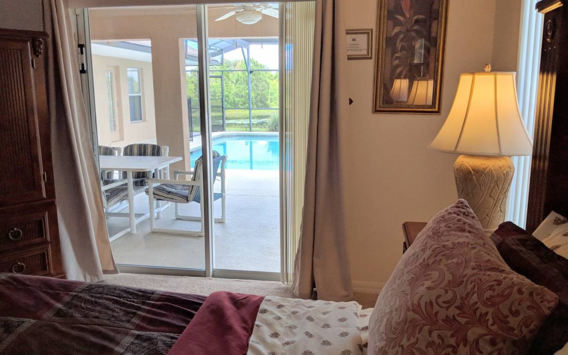 Photo of Others in Orange Tree