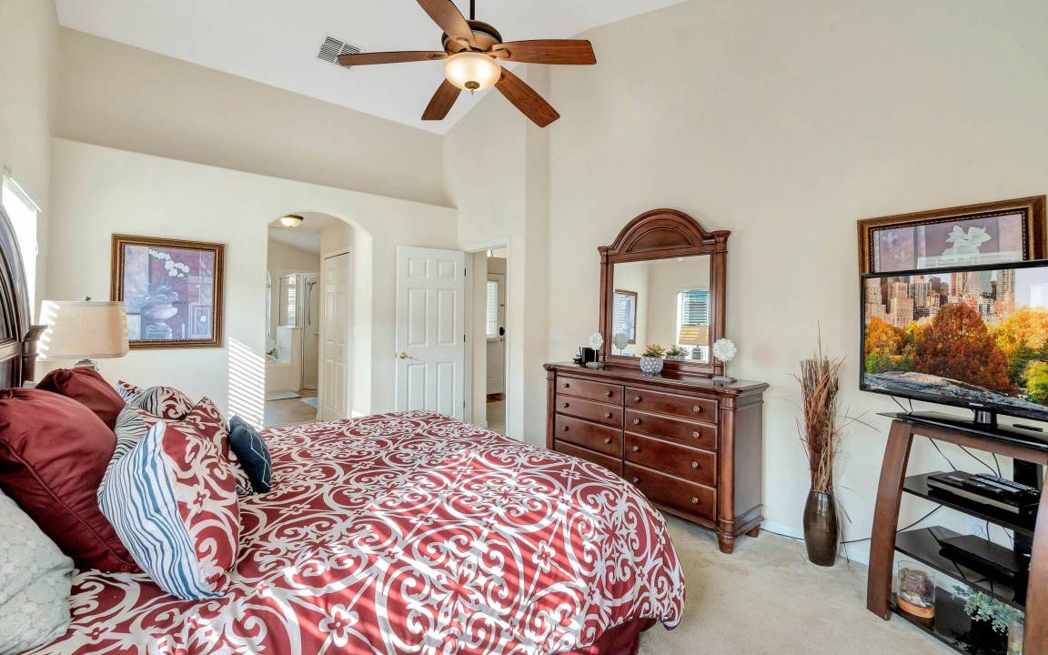 Photo of Others in Orange Tree