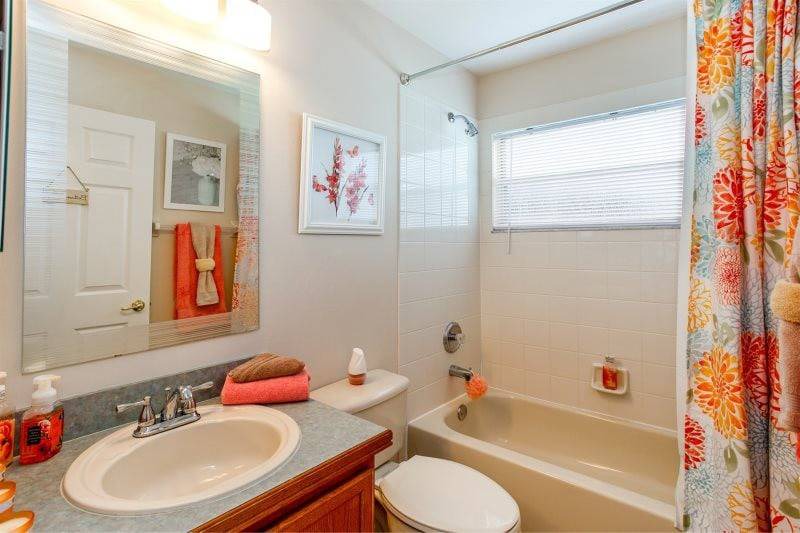 Photo of Others in Orange Tree