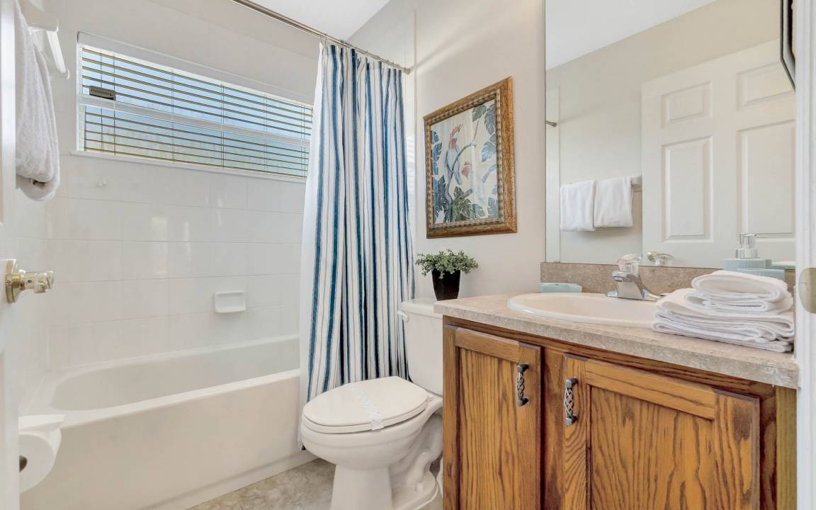 Photo of Others in Orange Tree