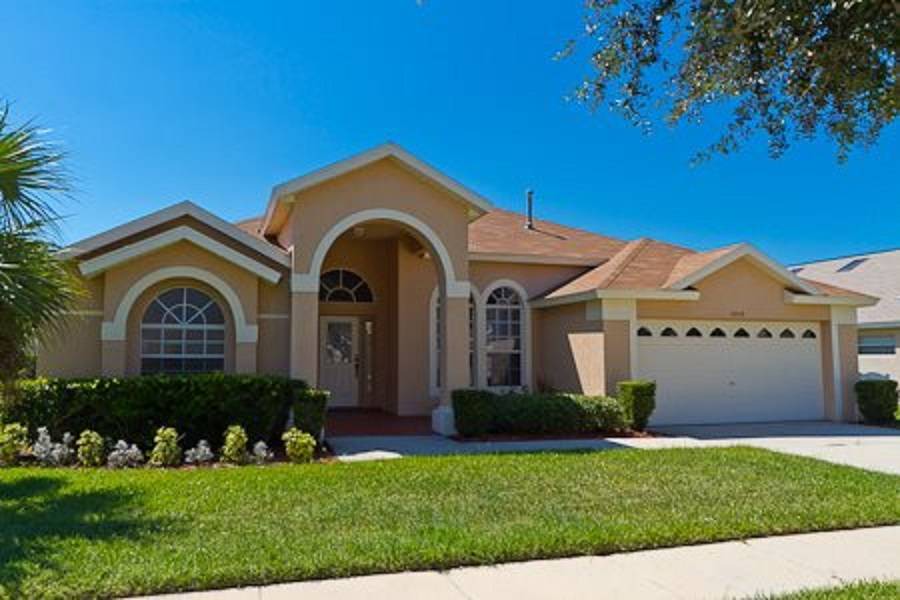 Photo of Others in Orange Tree