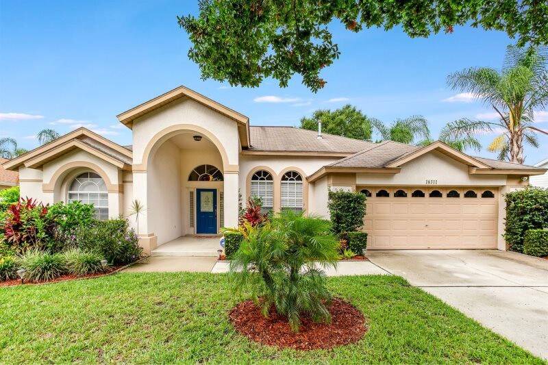 Photo of Others in Orange Tree