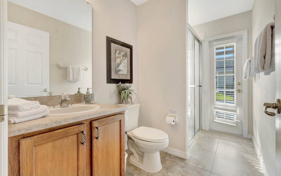 Photo of Others in Orange Tree