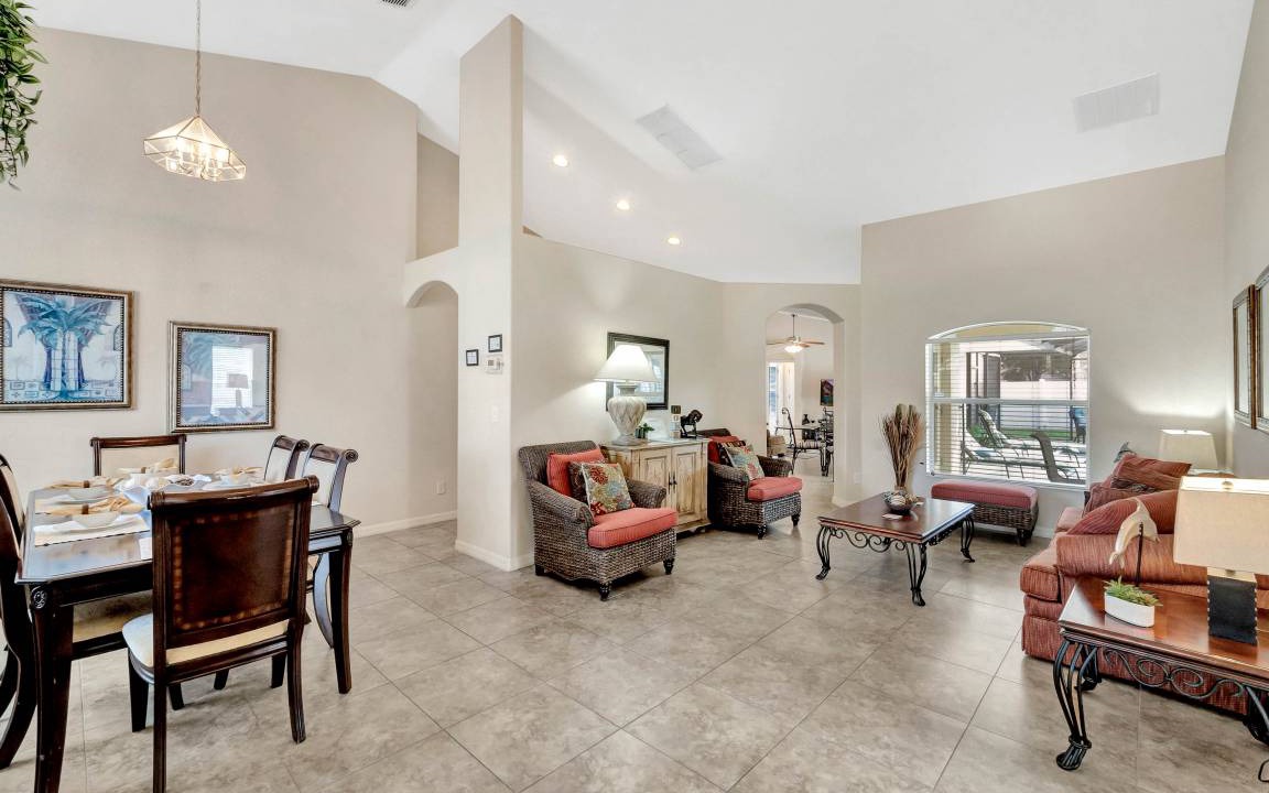 Photo of Others in Orange Tree