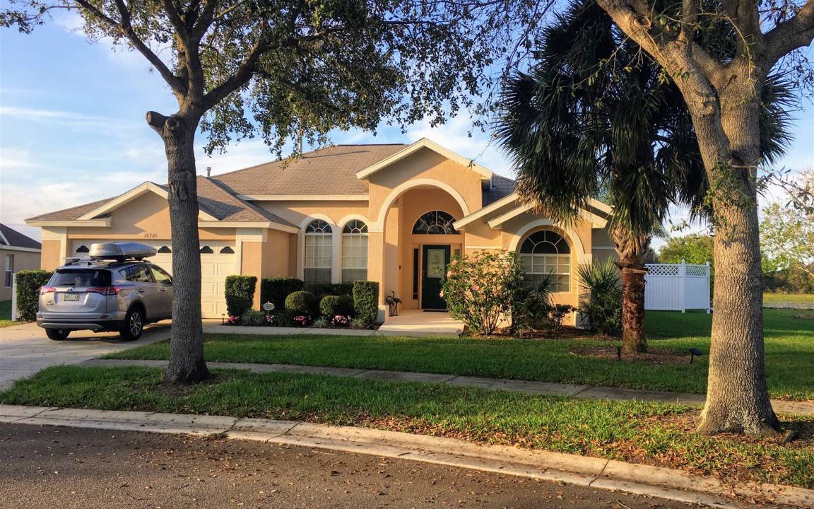 Photo of Others in Orange Tree