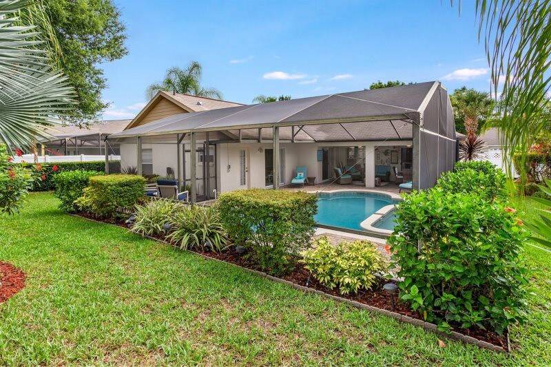 Photo of Others in Orange Tree