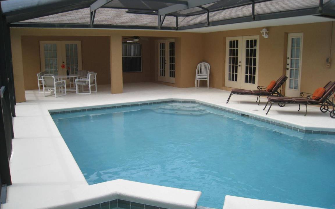 Photo of Others in Orange Tree