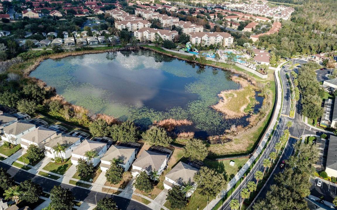 Photo of Others in Windsor Hills