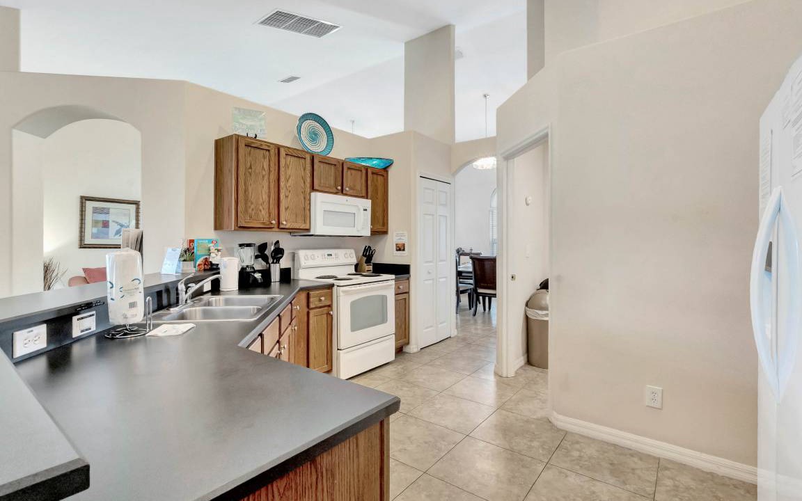 Photo of Others in Orange Tree