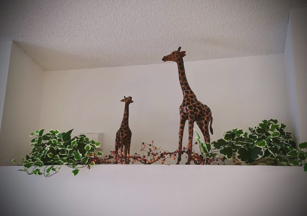 Photo of Others in Seasons