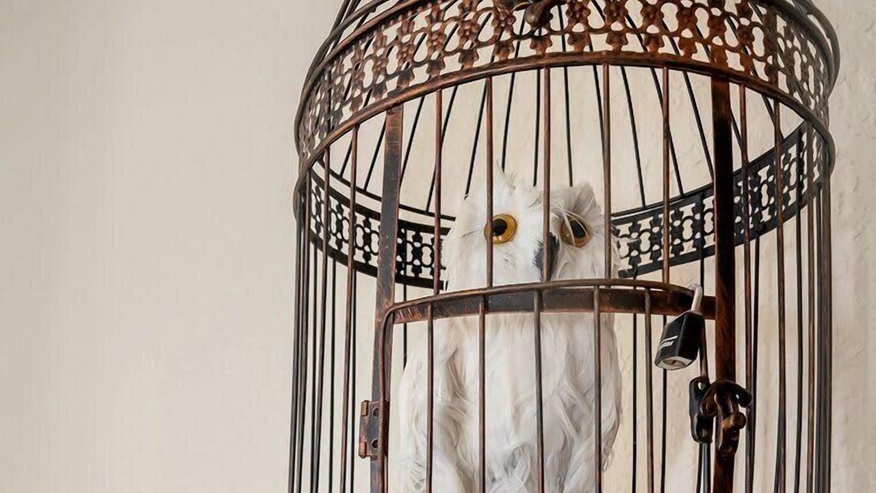 Photo of Others in Windsor Hills