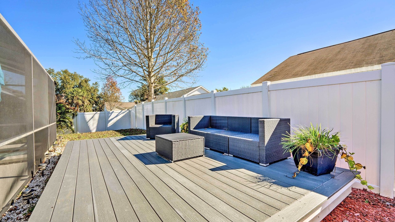 Photo of Others in Orange Tree