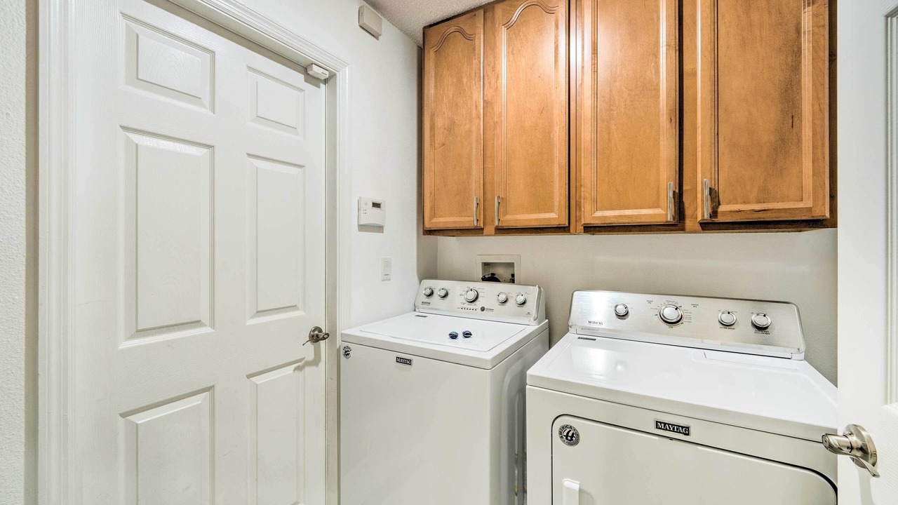 Photo of Others in Orange Tree