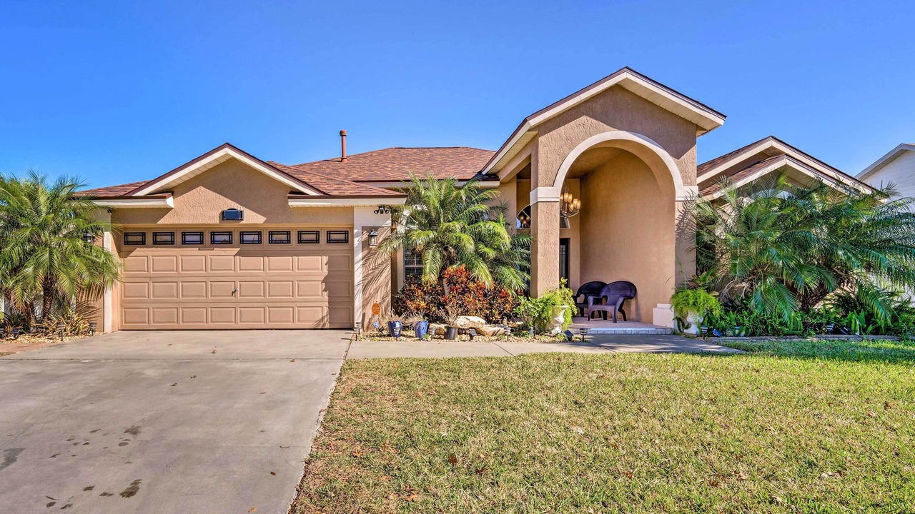 Photo of Others in Orange Tree