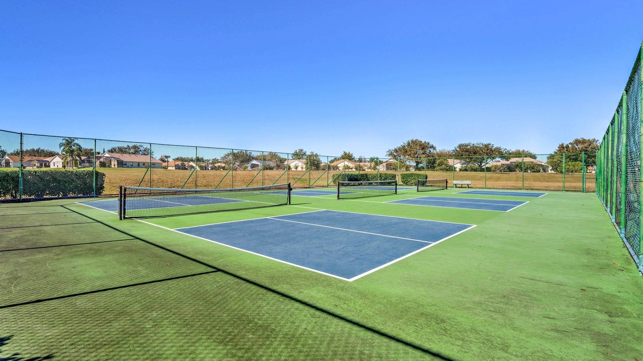 Photo of Others in Orange Tree