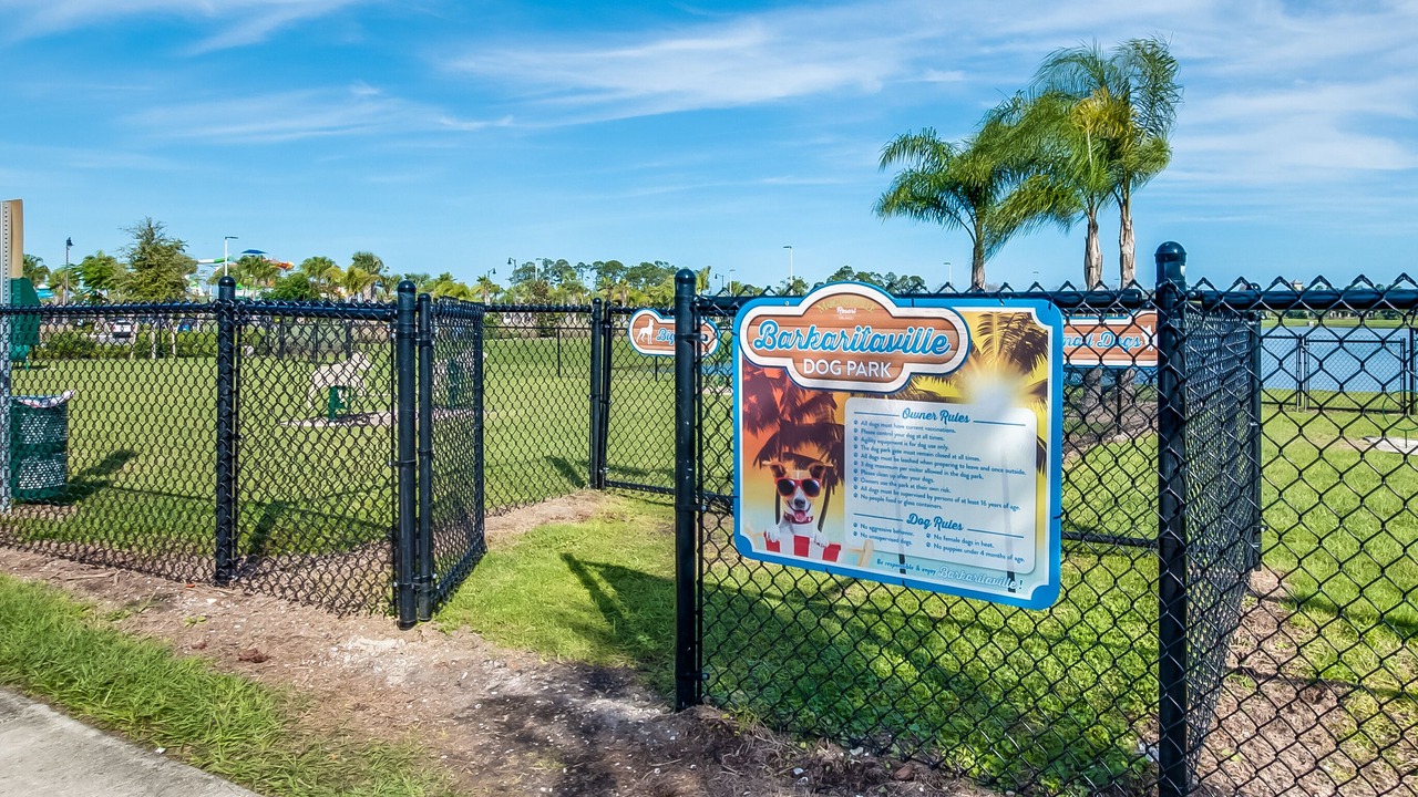 Photo of Others in West Kissimmee