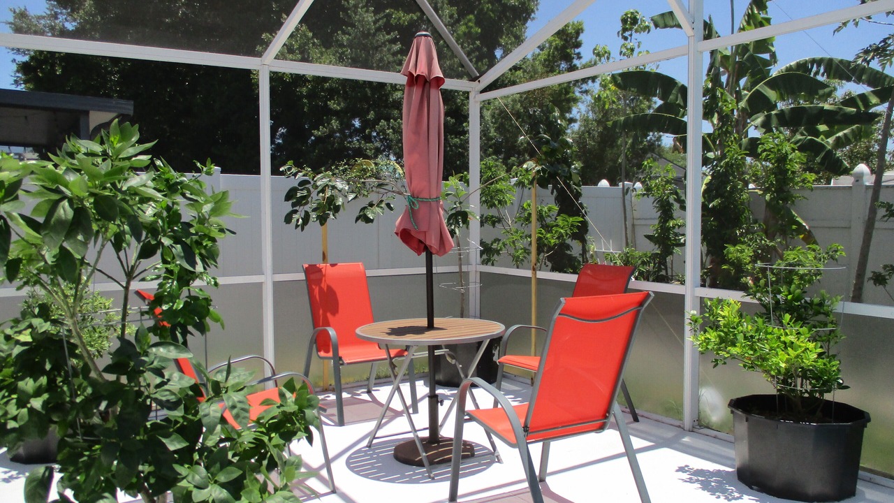 Photo of Outdoor in Chatham Park