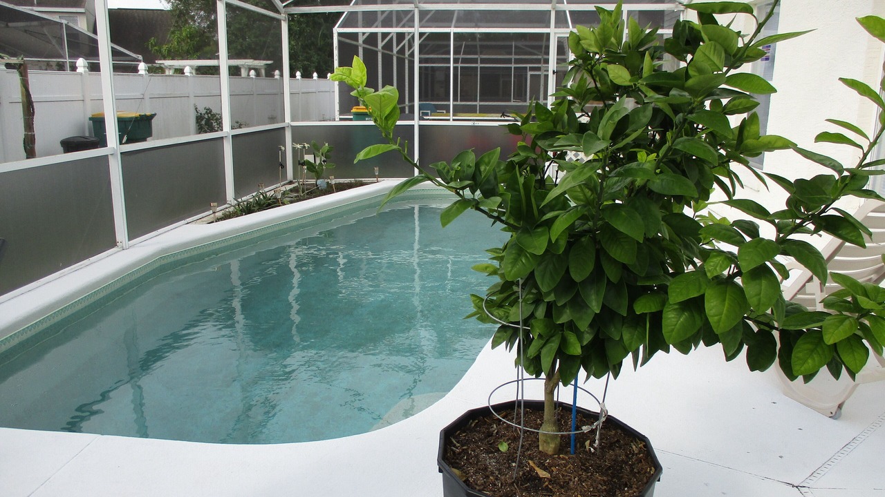 Photo of Outdoor in Chatham Park