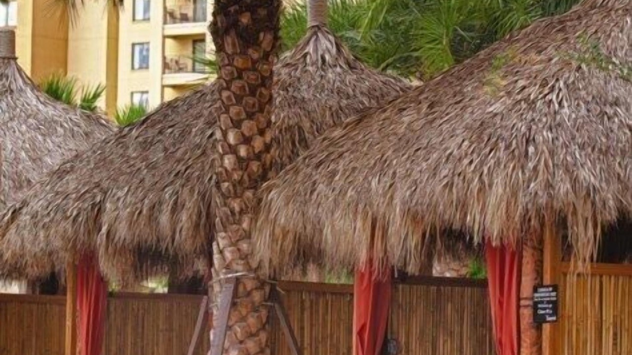 Photo of Outdoor in Lake Buena Vista