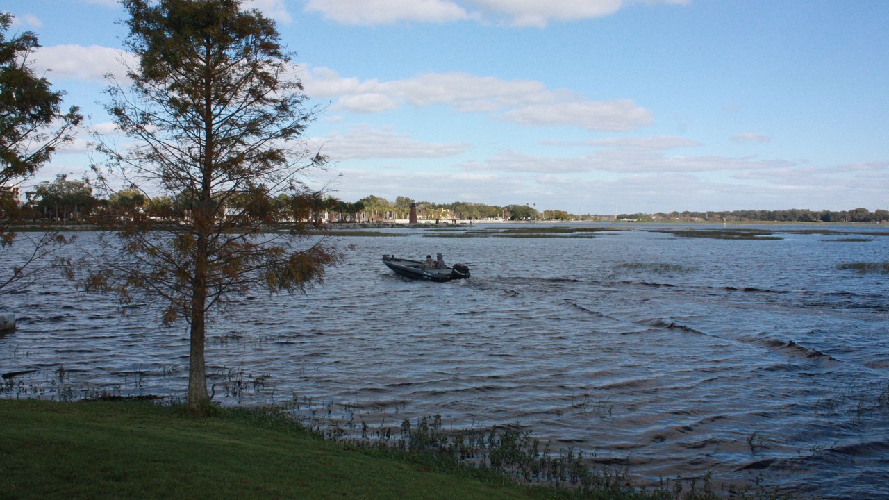 Photo of Others in Historic Downtown Kissimmee