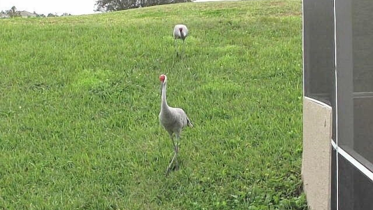 Photo of Outdoor in Highlands Reserve