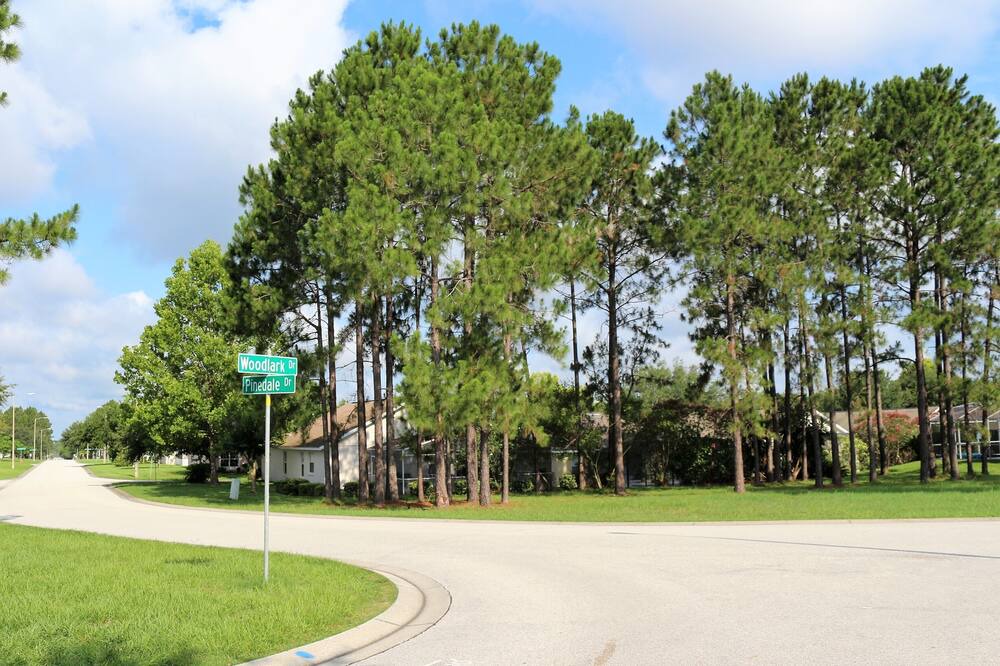 Photo of Others in Florida Pines