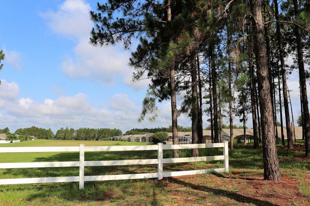 Photo of Others in Florida Pines
