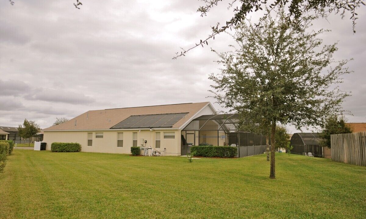 Photo of Outdoor in Orange Tree