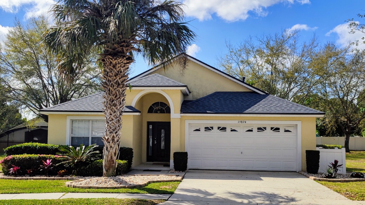 Photo of Outdoor in Orange Tree