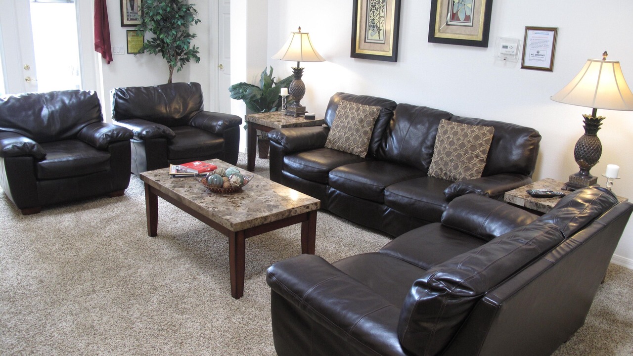 Photo of Others in Orange Tree