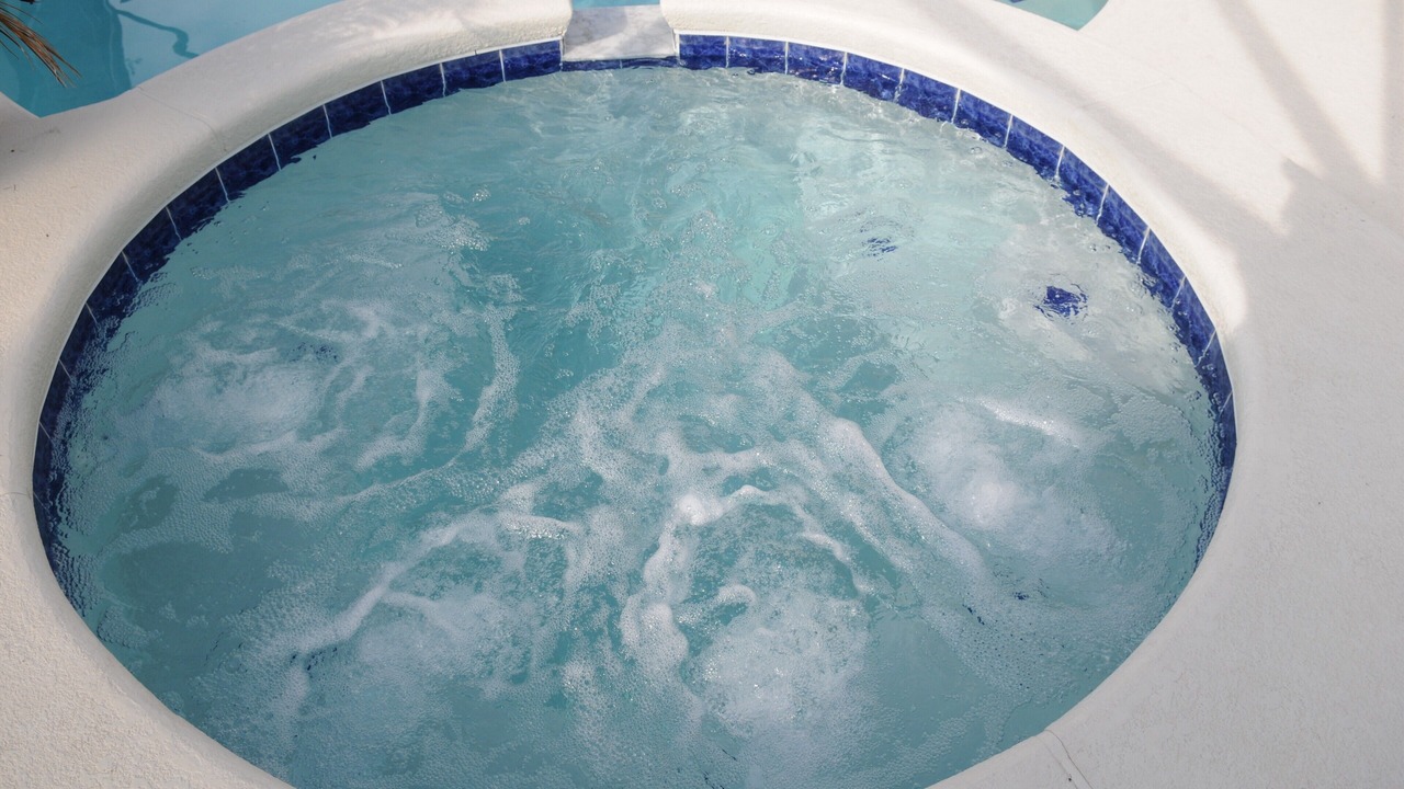 Photo of Others in Orange Tree