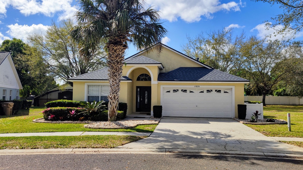 Photo of Outdoor in Orange Tree