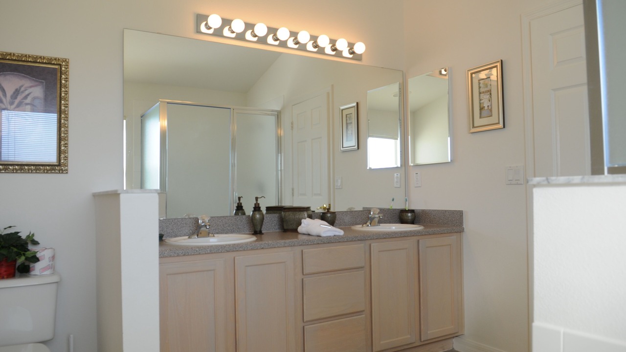 Photo of Others in Orange Tree